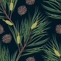 Seamless pattern with spruse branch and cones